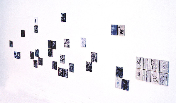 Herbier. Journaux de bourse, acrylique, acide. 15x10 cm. Dimension de l'ensemble: variable. Galerie de Condé, Spa. 1999. Photographie: Dominique Tricnaux