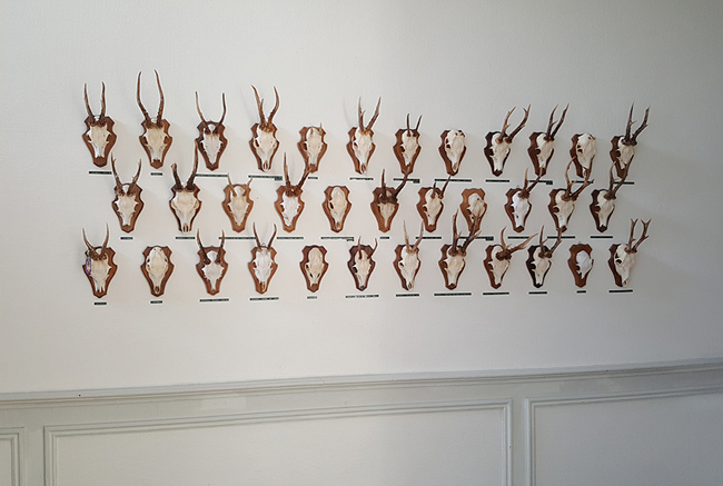 Galerie des trophées. Collection d’un chasseur mort, porte-clés. Amollir Molloy, Galerie Flux, Liège. Septembre 2018. Photographie: Lino Polegato